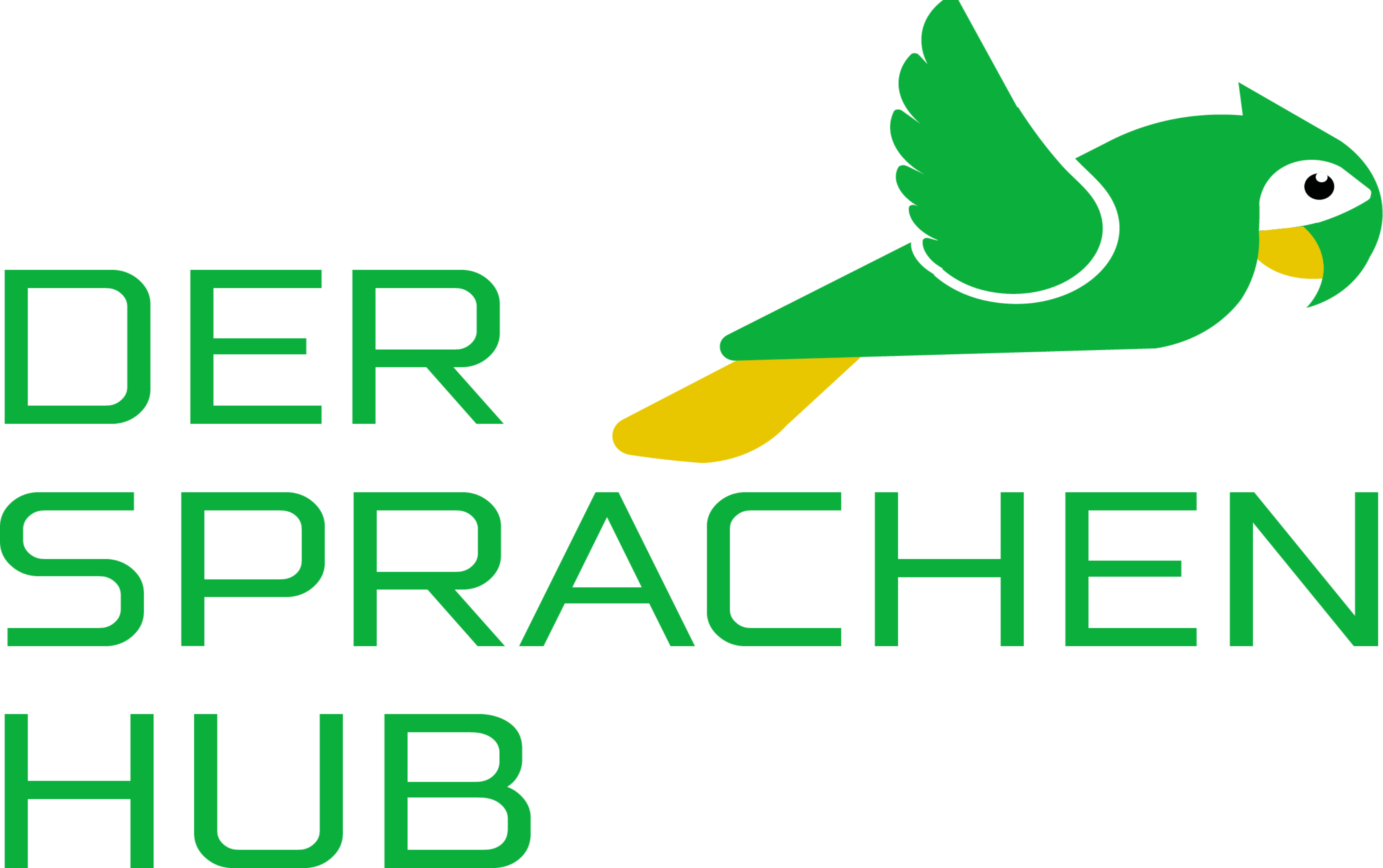 Der Srachen Hub Logo